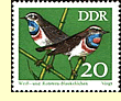  Bluethroat on East German postage stamp  