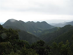  Ecuadorian landscape.  Photograph: Harry Fuller  