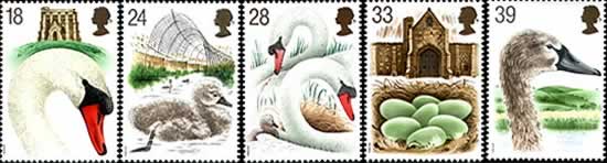  Mute Swans on set of UK postage stamps  