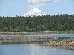  View of Mt. McLaughlin from Eagle Ridge.  Photo by Harry Fuller. 