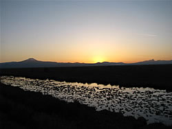  Sunset over Klamath Marsh.  Photo by Harry Fuller. 