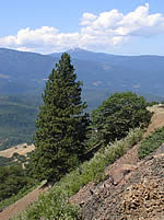  Looking past canyon towards Mount Ashland to the west, on Highway 66 (Photo: Kate Fuller)  